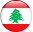 دليل الاطباء في لبنان - كشوفات